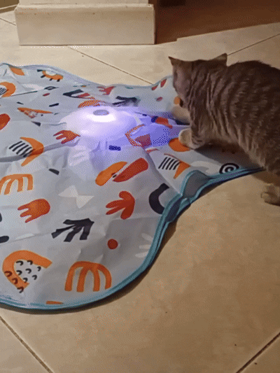 Smart Cat Hunting Toy